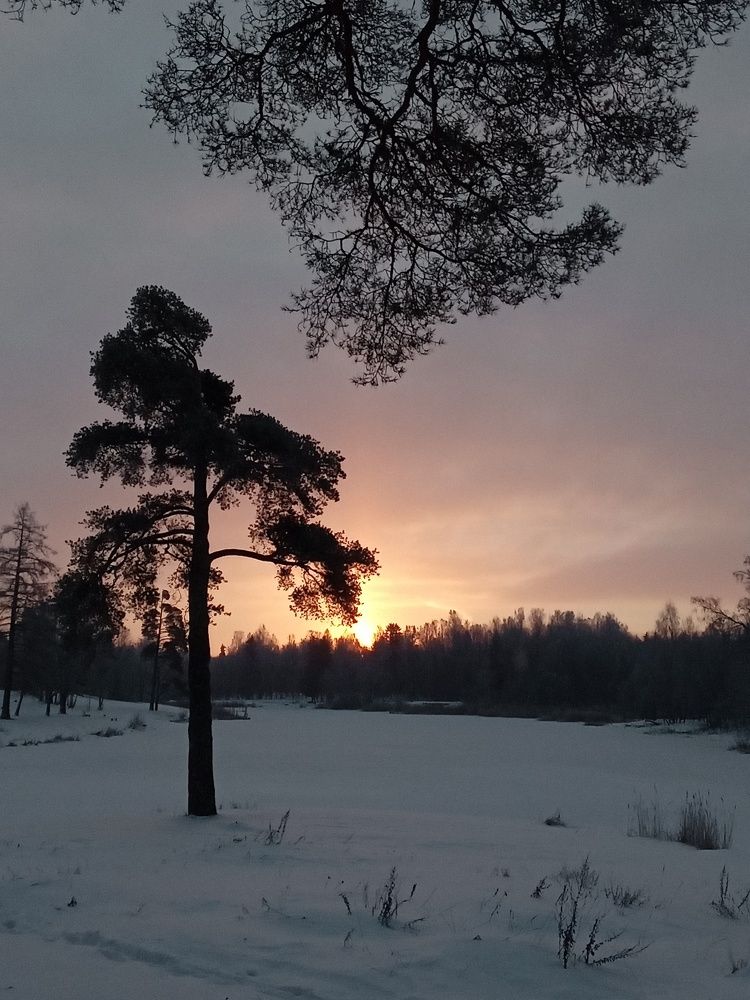 Photo #7072912
