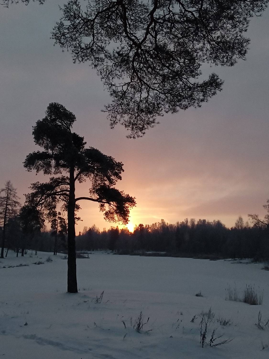 Photo #7072912