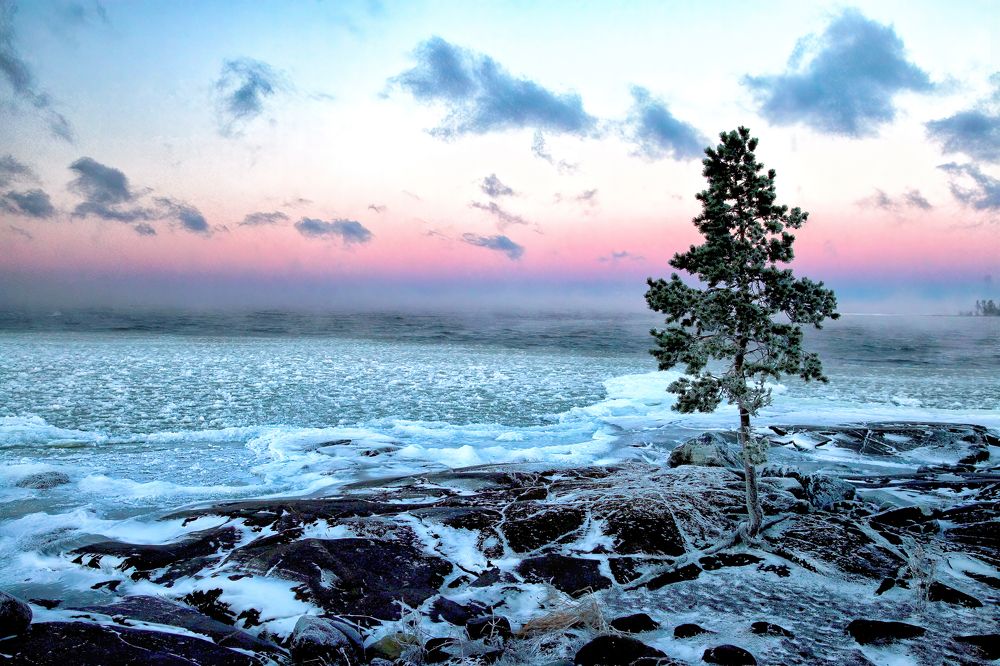 Белое безмолвие