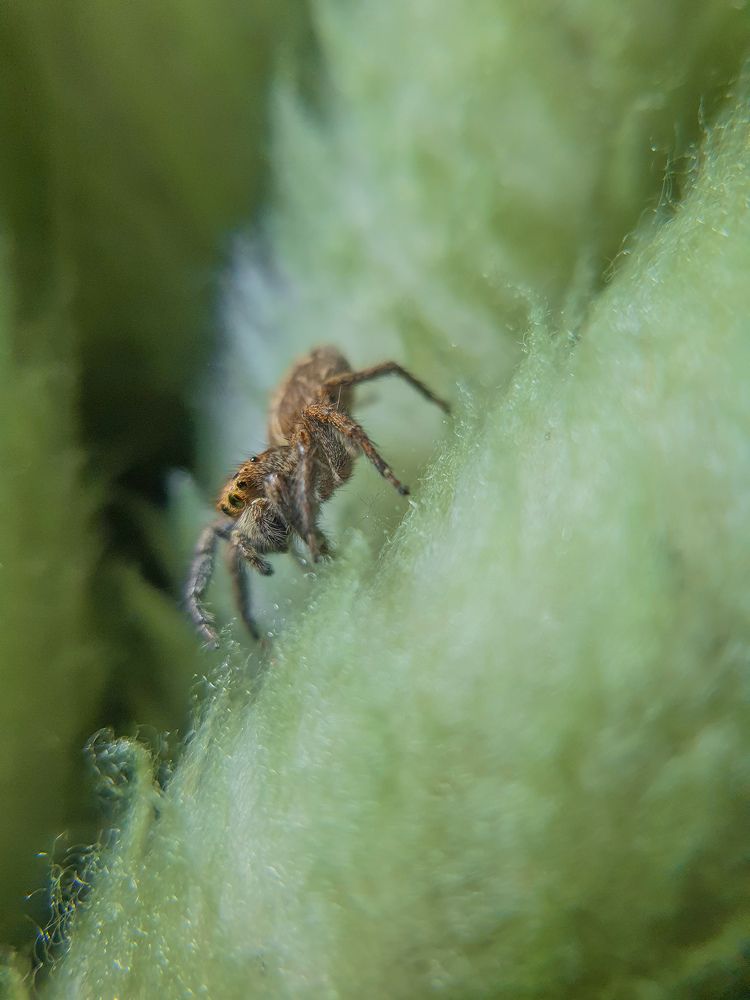 Photograph by Abdalrhman Alhashme