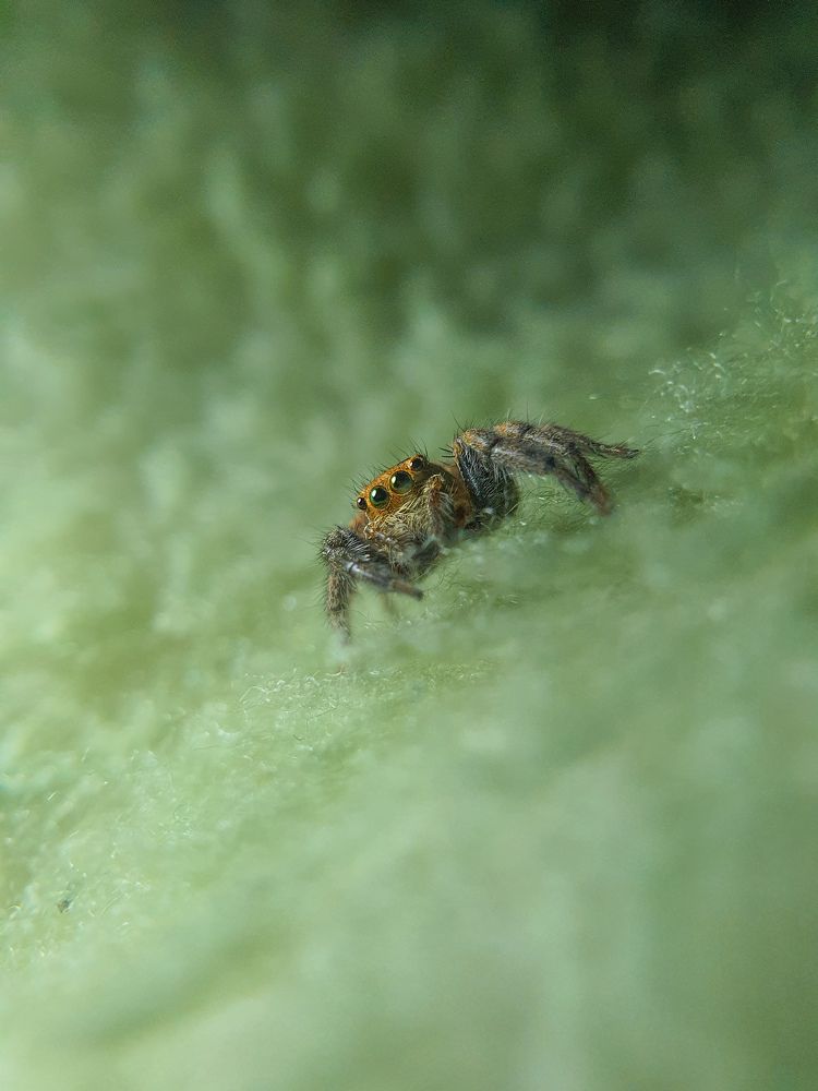 Photograph by Abdalrhman Alhashme