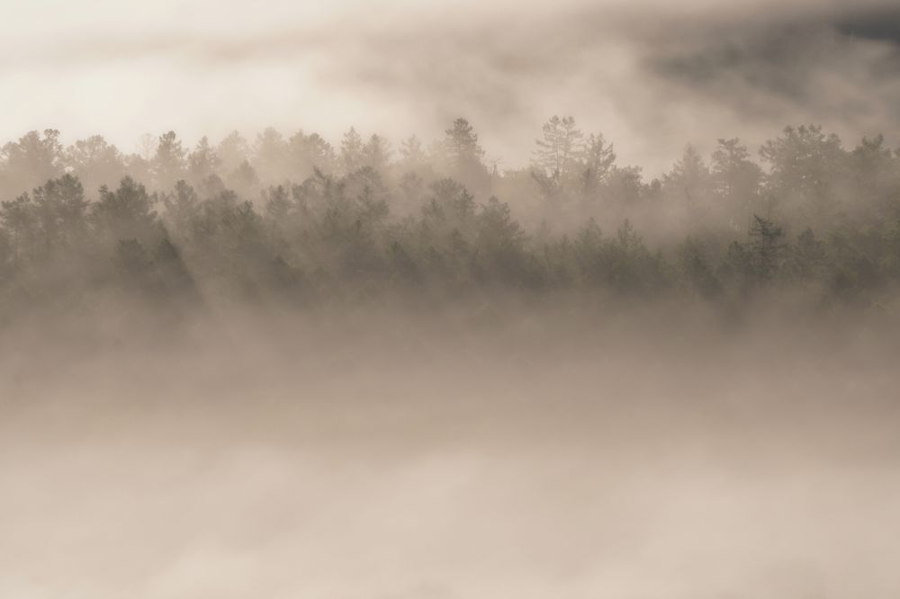 Photograph by Дима Городилов