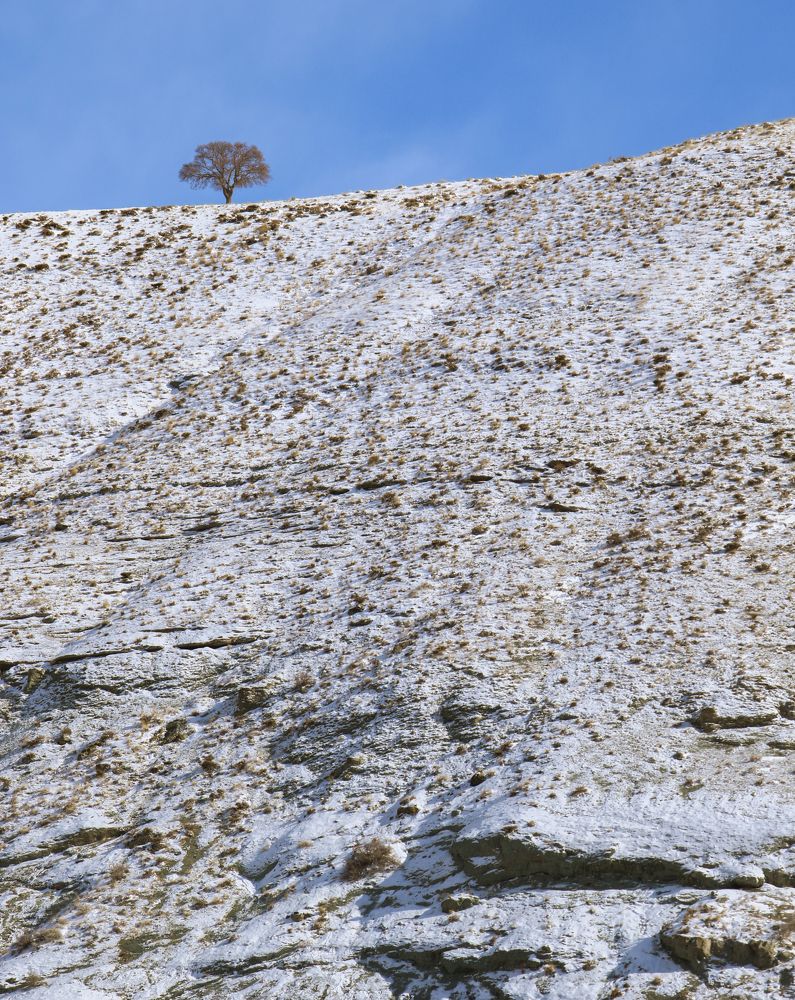 Фотография автора Vahid Basiri