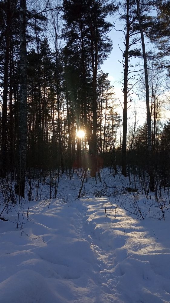 Photograph by Александр Чечёткин