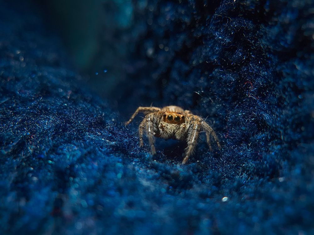 Photograph by Abdalrhman Alhashme