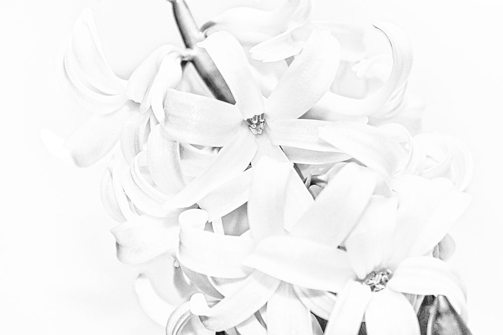 Photograph by Marek Durajczyk