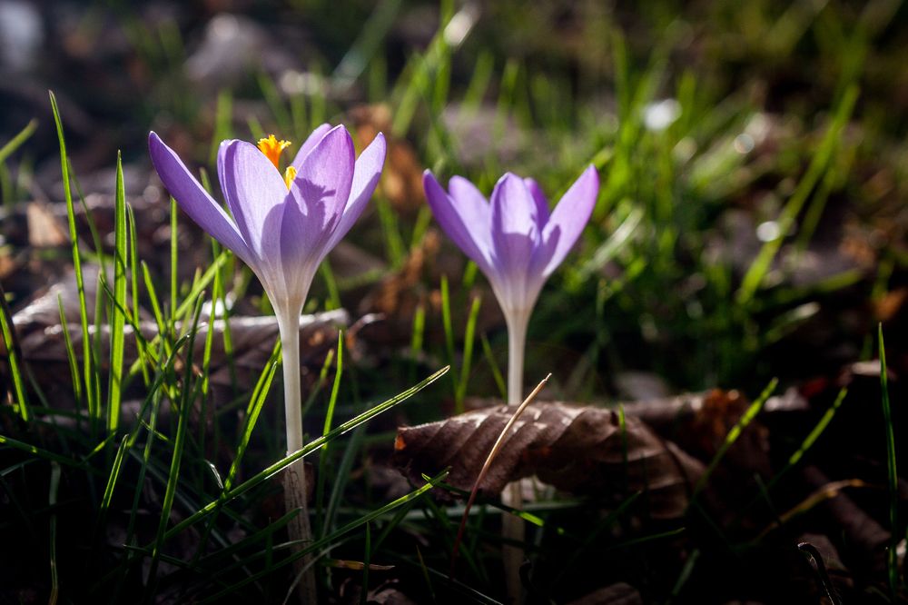 Photograph by Marek Durajczyk