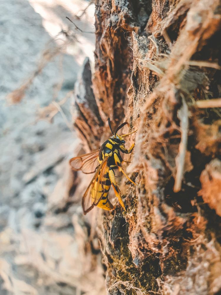 Photograph by Abdalrhman Alhashme