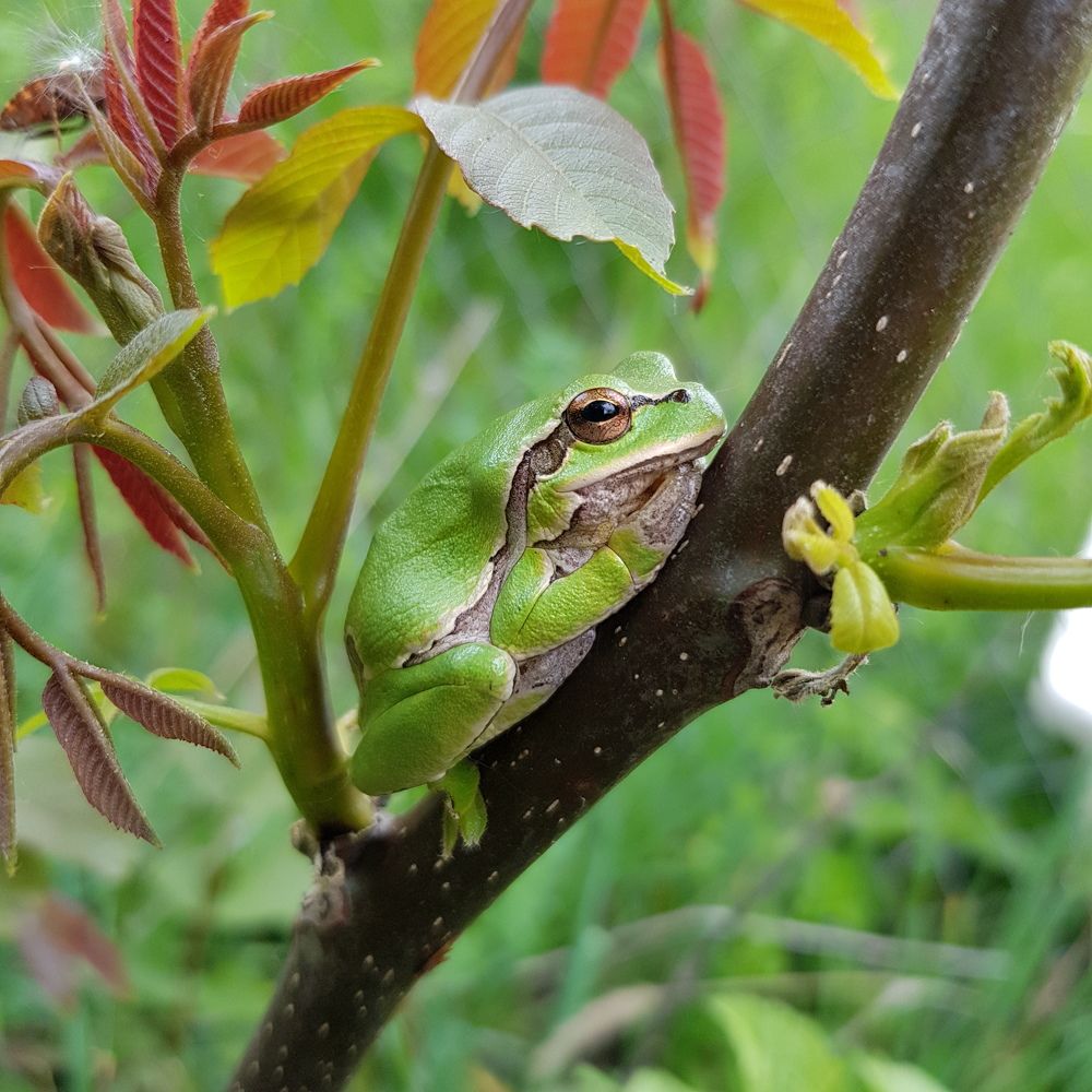 Photograph by Olha Teraz