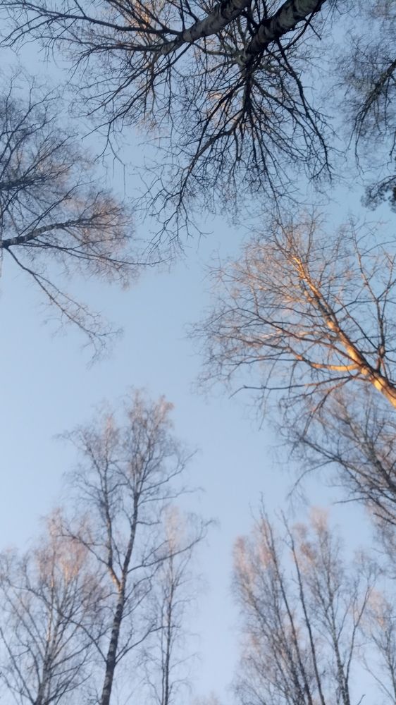 Photograph by Александр Чечёткин