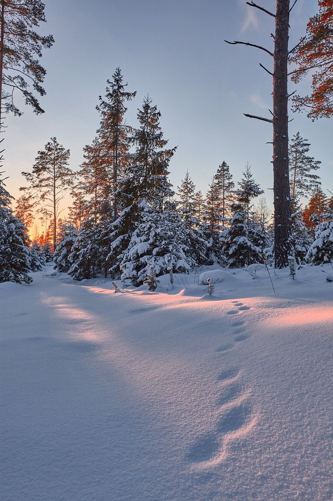 Photograph by Валерий Куропаткин
