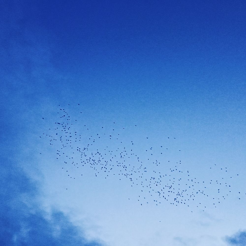 Photograph by Адамян Анна