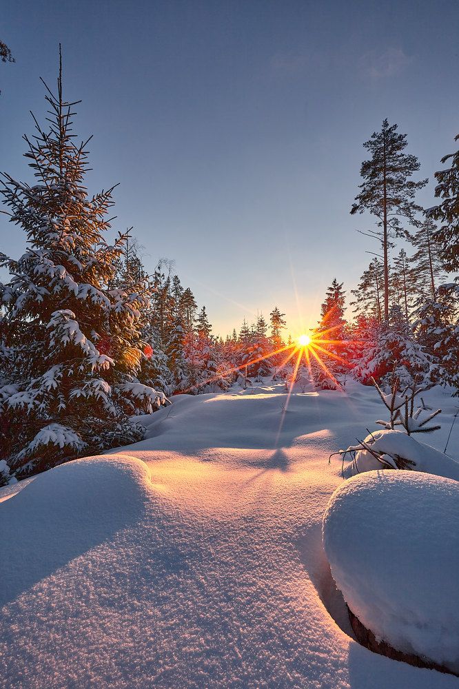 Photograph by Валерий Куропаткин