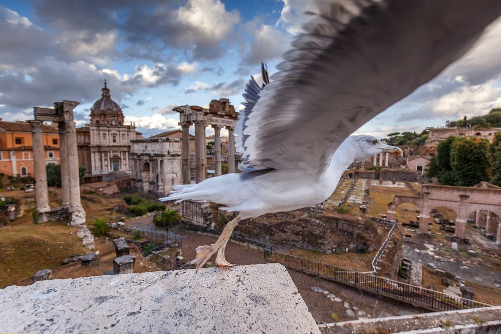 Photograph by Lorenzo Perotti