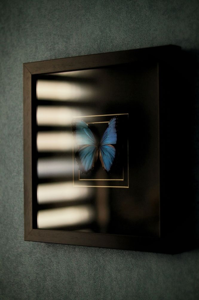 Photograph by Erfan Jahanbazi