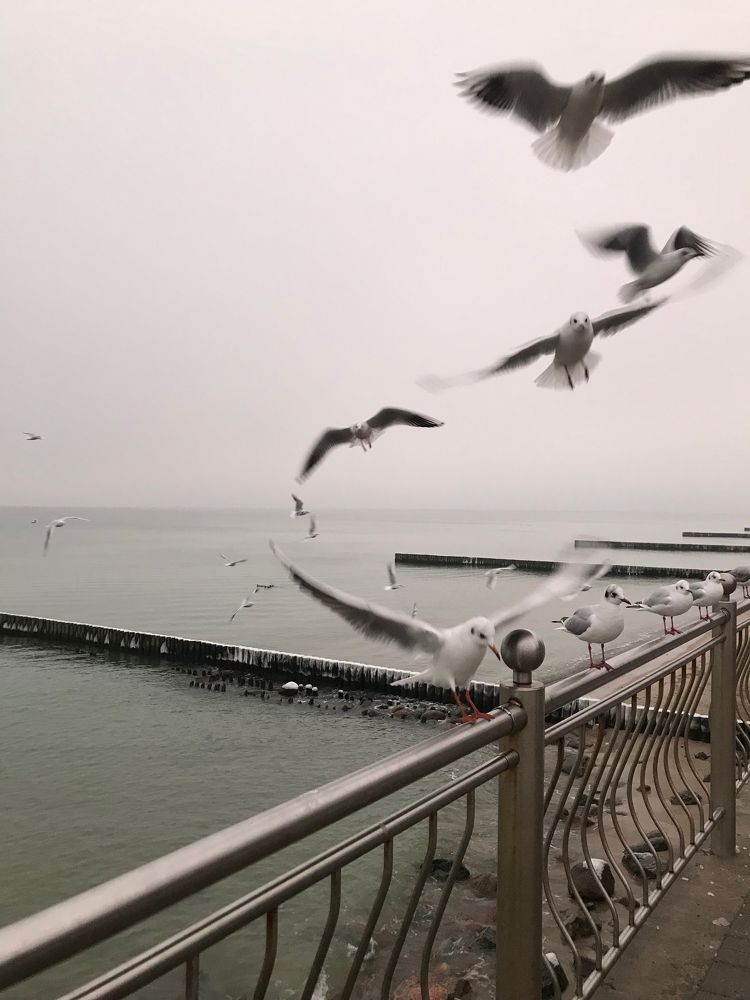 Фотография автора Рустем Шамсутдинов