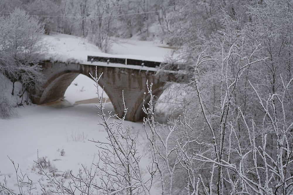 Фотография автора Виктор Конев