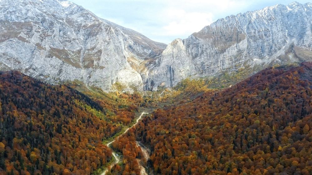 Полёт осенней Валькирии