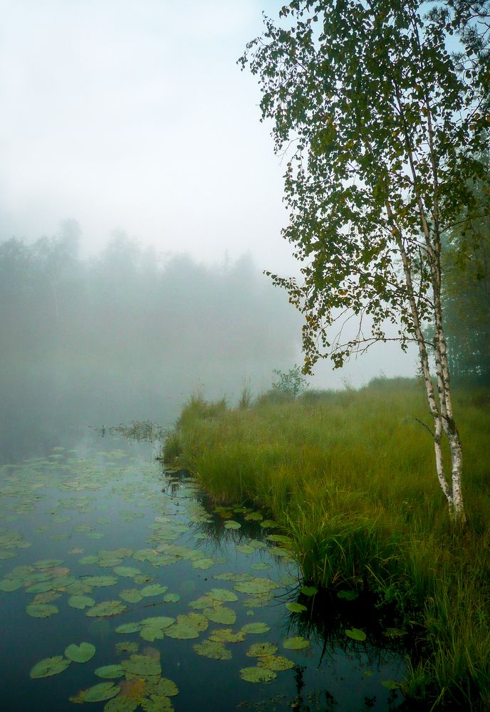 Photograph by Ubare Kelle