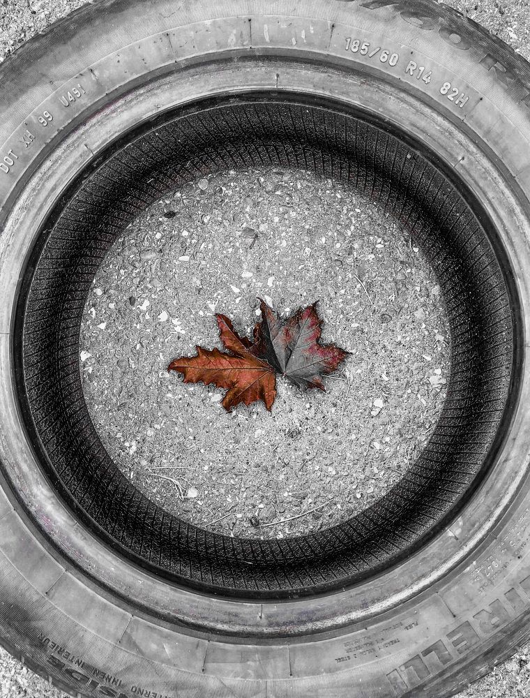 Замкнутый круг / A vicious circle