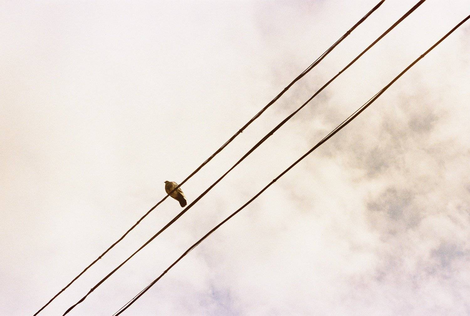 Photo #7073506