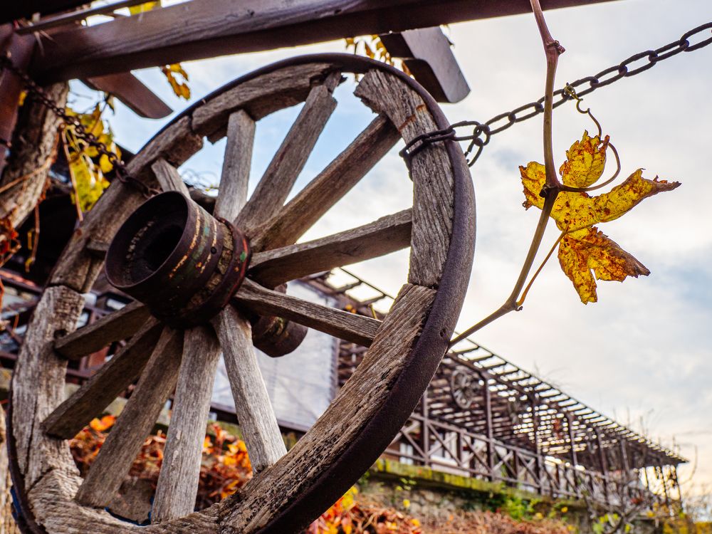 Photograph by Сергей Шишмарин