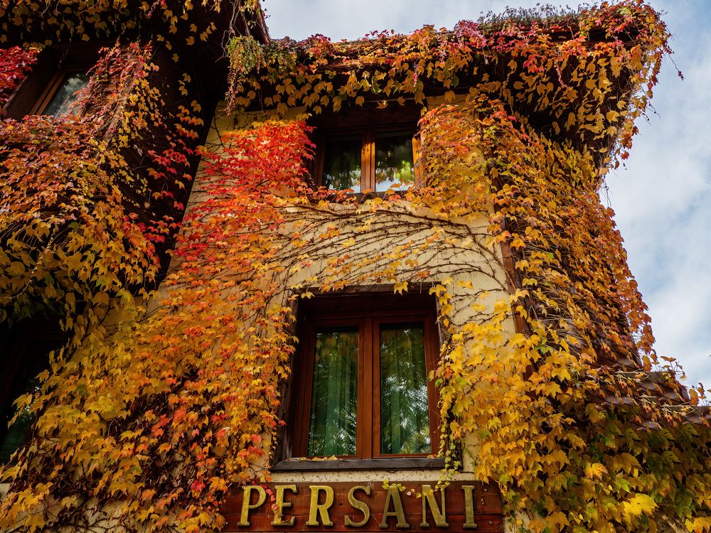 Photograph by Сергей Шишмарин