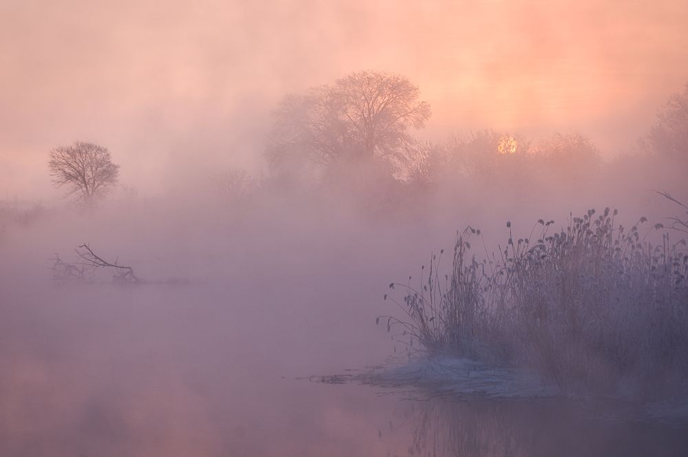 Photograph by Илья Толстоноженко