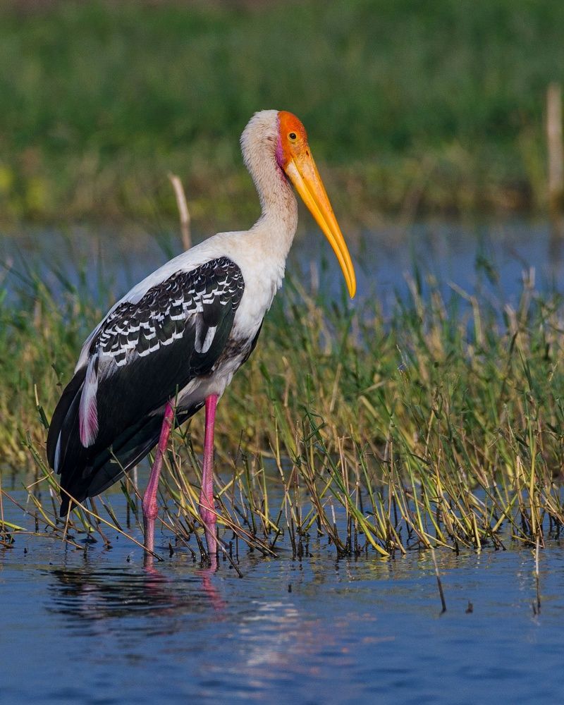 Photograph by Prajwal Gaikwad