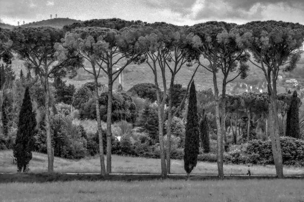 Photograph by SIMONE CIULLI