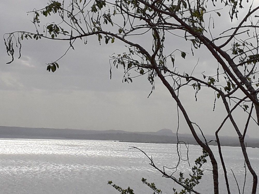Photo #7073719