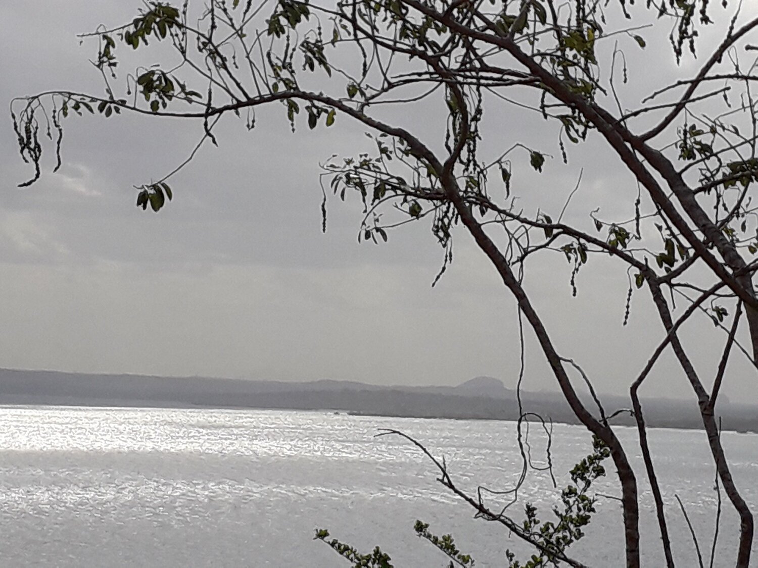 Photo #7073719