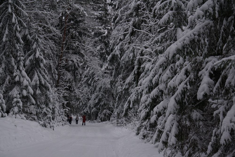 Photograph by NATALYA TOLSTOVA