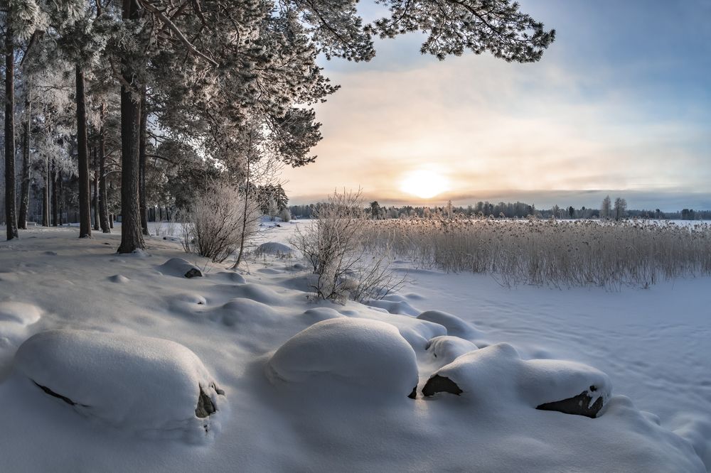 Photograph by Максим Сорокин