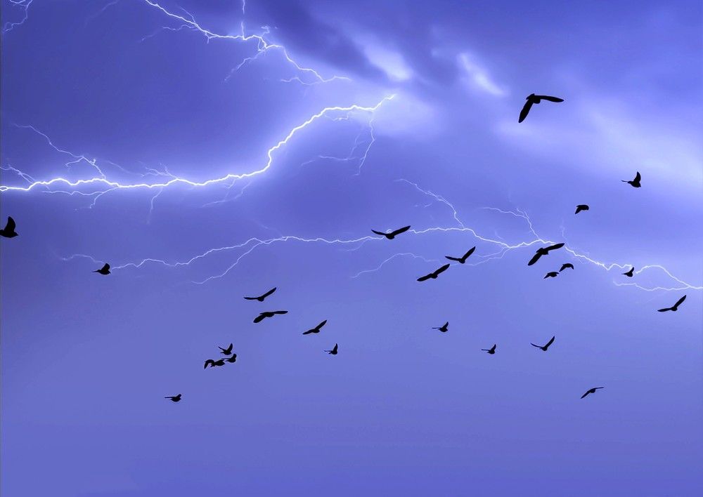 Photograph by Инна Макарчук