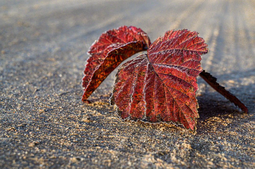 Photograph by Анжелика Хрусталева