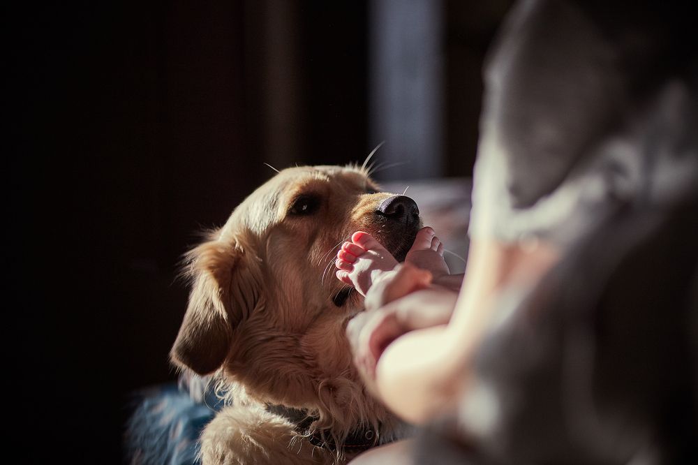Фотография автора Андрей Алдошин