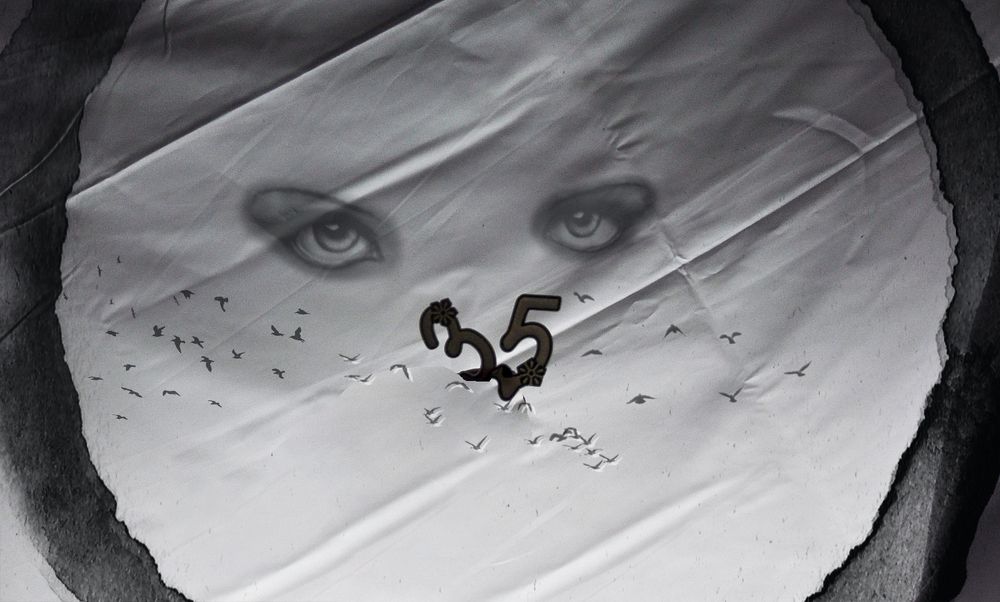 Photograph by Purple sunshine