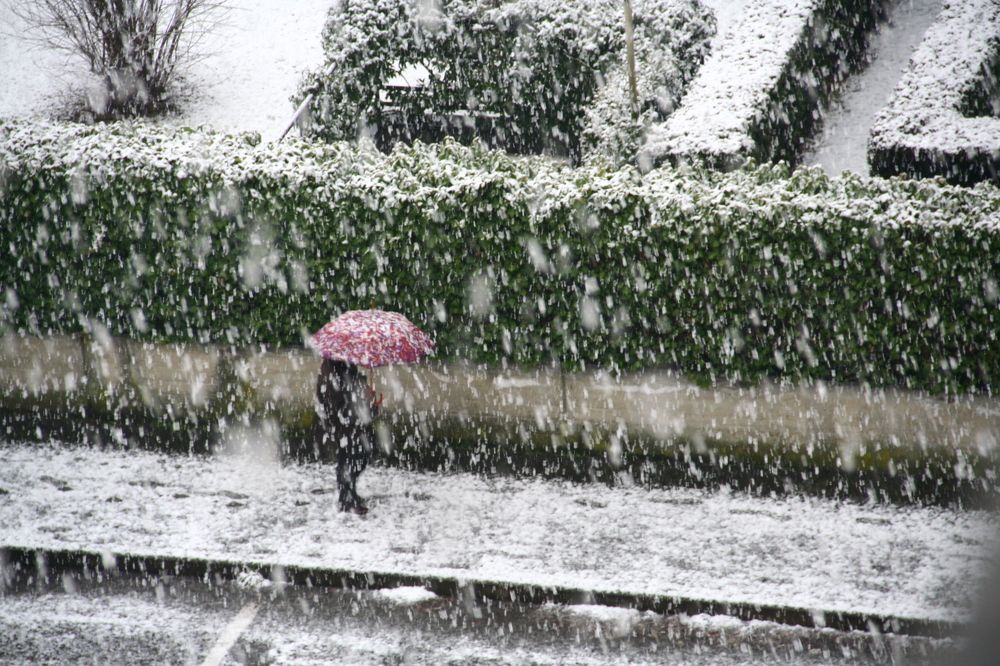 Photograph by sergio maritan