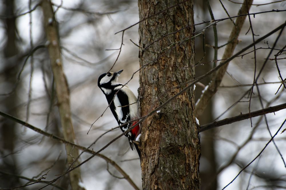 Фотография автора Дмитрий Войнов