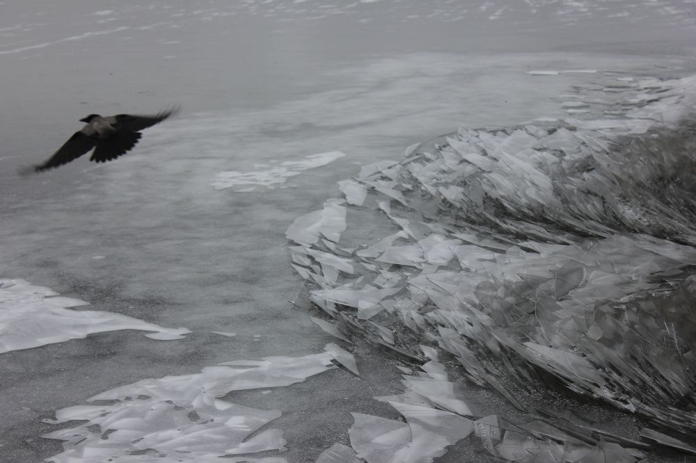 Photograph by Ксения Осинцева