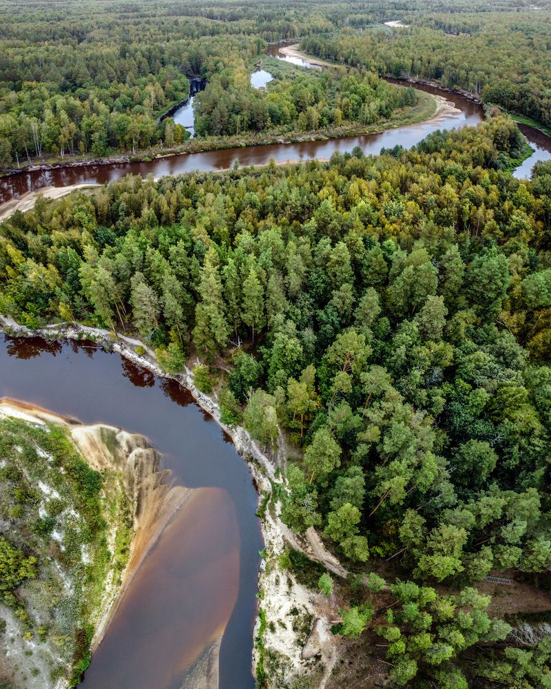 «БРЫКИН БОР»
