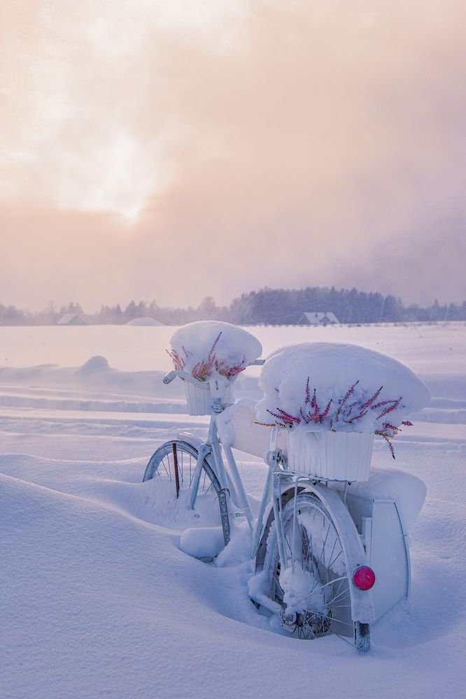 Photograph by Yulia Nikolaeva