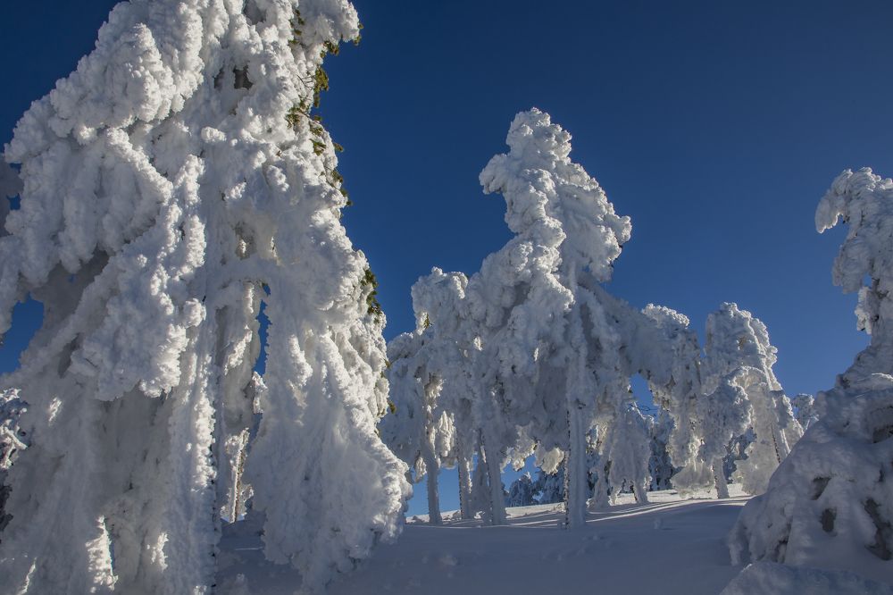 Photograph by Rubén Bermejo Cañas