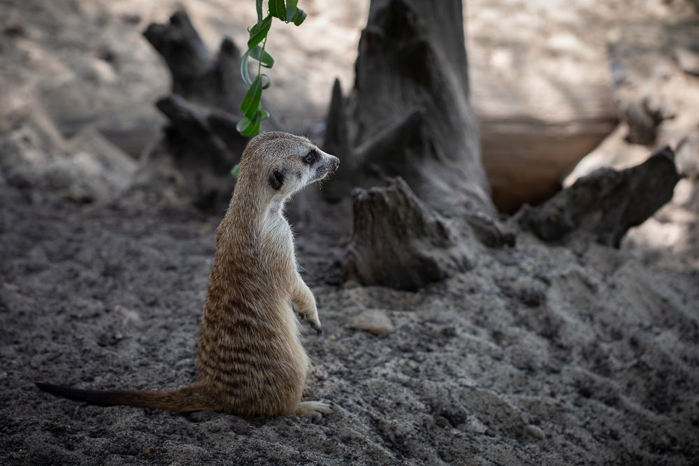 Photograph by Галина Полищук