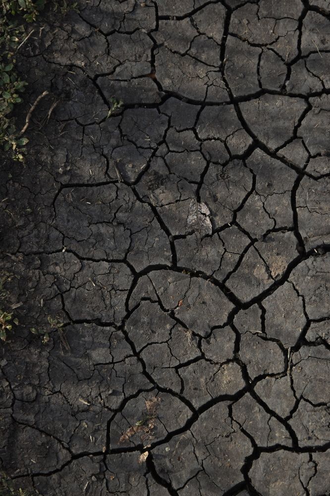 Photograph by Valentina Kolotova