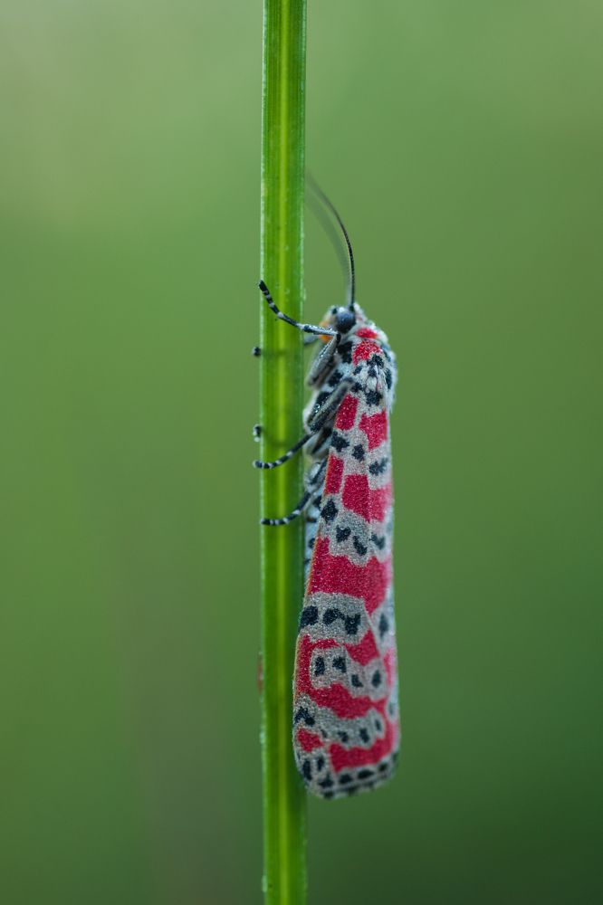 Photograph by Manuel Calvo