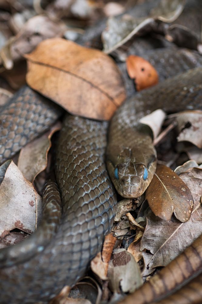 Photograph by Manuel Calvo