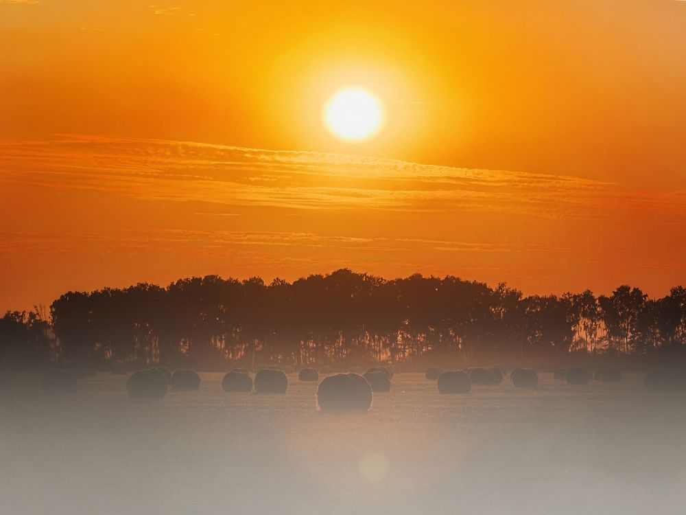 Photograph by Лихо Павло