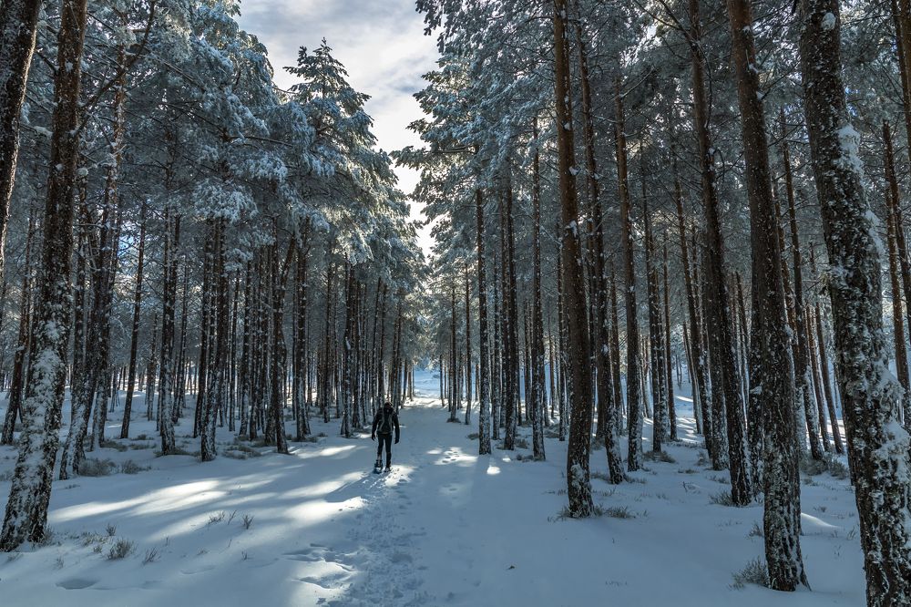 Photograph by Rubén Bermejo Cañas